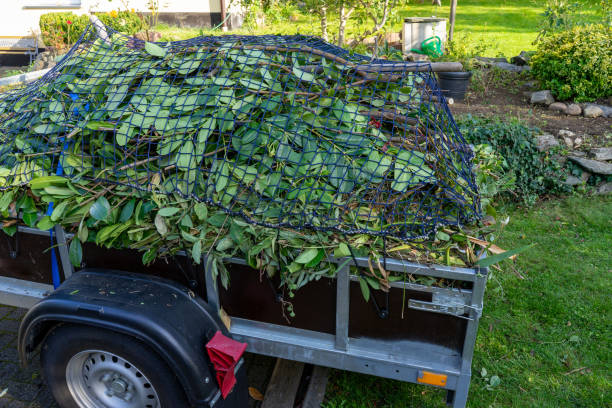 Best Carpet Removal and Disposal  in Augusta, KS